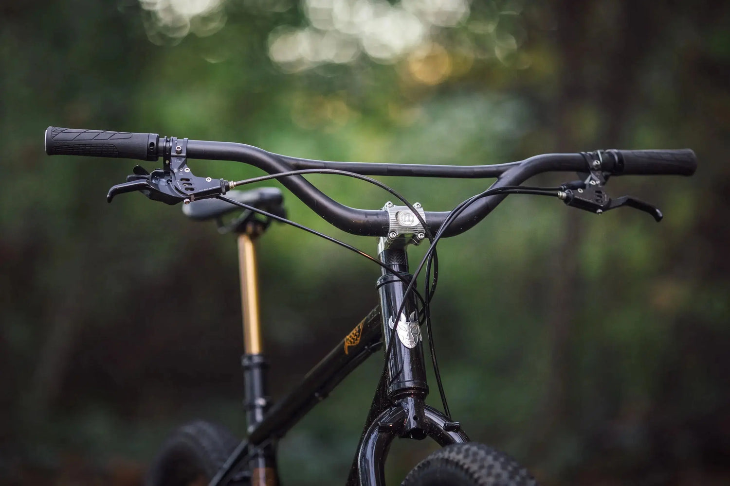 Handlebar, Fork - GoodTime Cycle